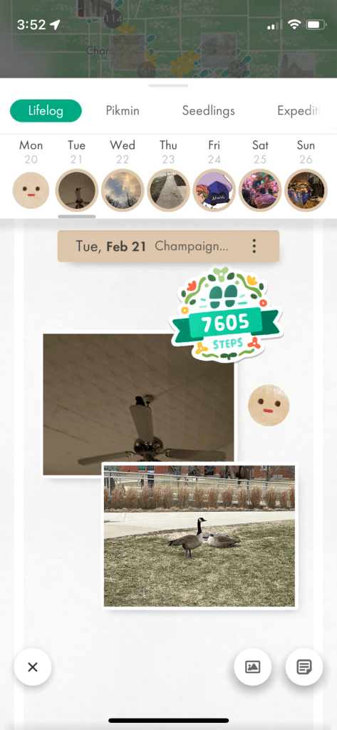 Lifelog of a certain week in Februrary. Every day is rated with the neutral face. On the highlighted day there's a photo of Rei on a fan and some Canada geese chilling. 