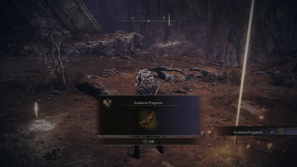 I pick up a scadutree fragment