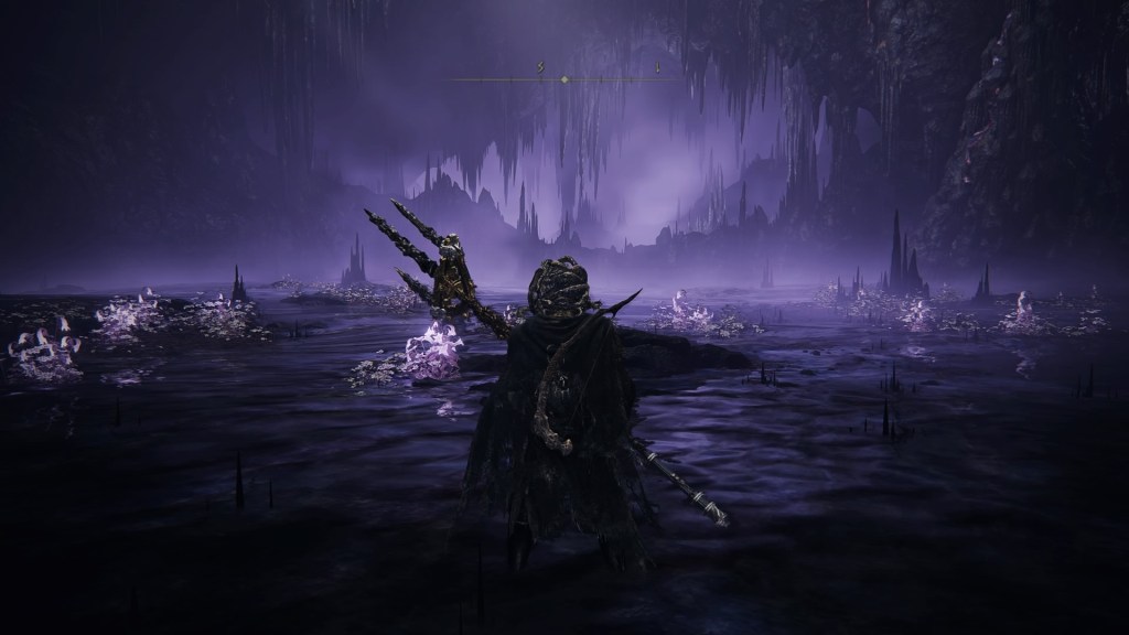 The tarnished stands before a dark purple cave with shallow water on the ground and luminous flowers scattered throughout. 