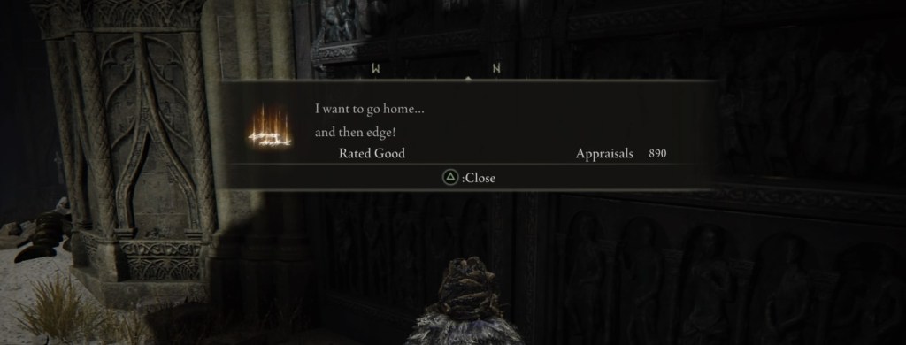 The tarnished stands before a door. There's a message in front of it that reads: "I want to go home... and then edge!"